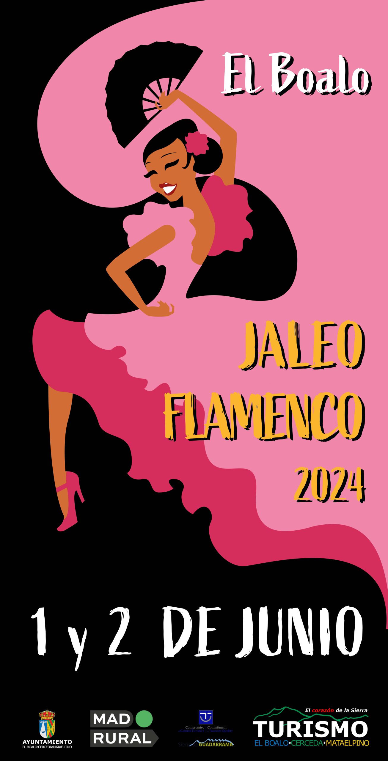Jaleo Flamenco_A3