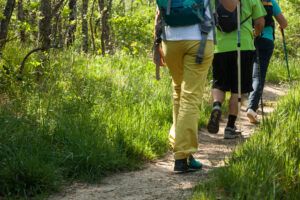 Sierra de Guadarrama participa en Naturcyl 2024