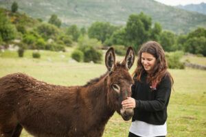 noticias de la sierra de guadarrama